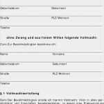 Versorgungsvollmacht Vorlage Beste Vorsorgevollmacht Mit Integrierter Betreuungsverfügung