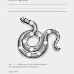 Verstärkerplan Kinder Vorlage Einzigartig sopäd Arbeitshilfen sozialkompetenz Und Klassenklima