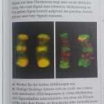 Versuchsprotokoll Chemie Vorlage Schule Einzigartig Epigenetik Dna Methylierungsmuster Auswertung