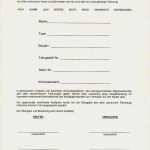 Vertrag Autoverkauf Privat Ohne Gewährleistung Vorlage Gut Allgemeiner Kfz Kaufvertrag