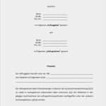 Vertrag Bauleitung Vorlage Großartig Suchmaschinenoptimierung Seo Muster Vertrag Zum Download
