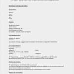 Vertrag Musiker Vorlage Genial Fantastisch Musiker Rechnungsvorlage Bilder Beispiel