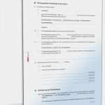 Vertrag Zwischen Geschäftspartnern Vorlage Elegant Vertrag Reitbeteiligung