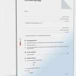 Vertrag Zwischen Geschäftspartnern Vorlage Erstaunlich Coaching Vertrag