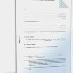 Vertrag Zwischen Geschäftspartnern Vorlage Süß Ehrenamtsvertrag Vertrag Freiwilligen Arbeit