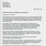 Vertraulichkeitserklärung Vorlage Erstaunlich Schön Reflexion Schreiben Praktikum Muster