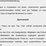 Vertraulichkeitserklärung Vorlage Schön Sperrvermerk Projektarbeit Ihk Aufsatz über Den Planeten