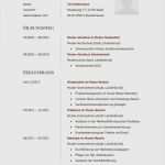 Verwaltungsfachangestellte Bewerbung Vorlage Hübsch 15 Bewerbung Verwaltungsfachangestellte Muster