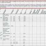 Verzeichnis Von Verarbeitungstätigkeiten Vorlage Word Wunderbar Risikoanalyse Excel Vorlage Beispiel Das Excel tool Für