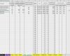 Verzugszinsen Excel Vorlage Wunderbar Excel Vorlage EÜr 2017 Pierre Tunger