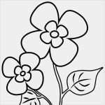 Video Intro Vorlagen Kostenlos Inspiration Zahlreiche tolle Malvorlagen Für Blumen Motive