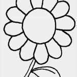 Video Vorlagen Kostenlos Inspiration 99 Fensterbilder Blumen Vorlagen Kostenlos Ideen