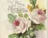 Vintage Schilder Vorlagen Elegant Shabby Pink Blush Roses French Postcard Antique Chromo