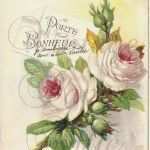 Vintage Schilder Vorlagen Elegant Shabby Pink Blush Roses French Postcard Antique Chromo