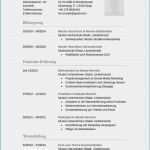 Visitenkarte Vorlage Pages Erstaunlich Neueste Lebenslauf Muster Pages Visitenkarte