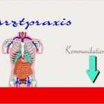 Visitenkarten Nach Vorlage Cool 100 Visitenkarten Nach Ihrer Vorlage Bilderdruck Matt