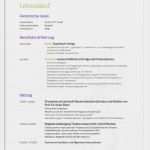 Visitenkarten Vorlagen Für Musiker Elegant 8 Besten Lebensläufe Bilder Auf Pinterest