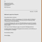 Visum Abgelehnt Widerspruch Vorlage Cool Vorlage Widerspruch Finanzamt Angenehm 5 Widerspruch