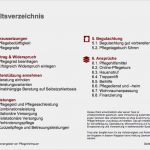Visum Abgelehnt Widerspruch Vorlage Einzigartig Pflegeantrag Begutachtungsverfahren Schnell Und Richtig