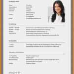 Vita Erstellen Vorlage Erstaunlich 15 Vita Schreiben Beispiel