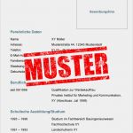 Vita Erstellen Vorlage Schön Der Perfekte Lebenslauf