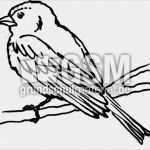 Vogel Vorlage Zum Ausdrucken Best Of Vogel T Z Nomengrafiken Zum Ausmalen Material Klasse