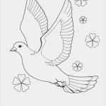 Vogel Vorlage Zum Ausdrucken Cool Ausmalbilder Zum Drucken Malvorlage Taube Kostenlos 4