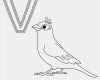 Vogel Vorlage Zum Ausdrucken Cool Vogel Ausmalbild Buchstaben Malen Vorlagen
