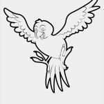 Vogel Vorlage Zum Ausdrucken Großartig 29 Vogel Malvorlagen Zum Ausdrucken Colourationvogel