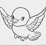 Vogel Vorlage Zum Ausdrucken Schönste Ausmalbilder Wellensittich Ausdrucken