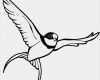 Vogel Vorlage Zum Ausdrucken Wunderbar Vogel Malvorlagen Kostenlos Zum Ausdrucken Ausmalbilder