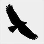 Vogel Vorlagen Für Fenster Best Of Schablone Süße Eulen Arslinea Avec Schablonen Zum