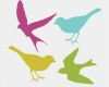 Vogel Vorlagen Für Fenster Erstaunlich Birds Silhouette Birds Pinterest