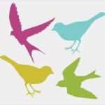 Vogel Vorlagen Für Fenster Erstaunlich Birds Silhouette Birds Pinterest