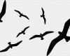 Vogel Vorlagen Für Fenster Erstaunlich Vogel Silhouetten Fenster Glas Schutz Vogelschreck