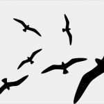 Vogel Vorlagen Für Fenster Erstaunlich Vogel Silhouetten Fenster Glas Schutz Vogelschreck