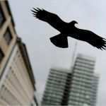Vogel Vorlagen Für Fenster Luxus 1000 Fragen Verhindern Greifvogel Silhouetten Den