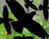 Vogel Vorlagen Für Fenster Wunderbar Set 35cm Vogel Vögel Aufkleber Fenster Tattoo Warnvögel