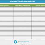 Voice Of the Customer Vorlage Angenehm Voice Of the Customer Voc Translation Matrix Template