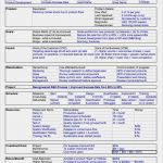 Voice Of the Customer Vorlage Beste Project Management Charter Templates Example Of Spreadshee