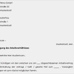 Vollkasko Kündigen Vorlage Einzigartig Fristlose Kündigung Durch Arbeitgeber Muster Zum Download