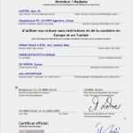 Vollmacht Kfz Nutzung Vorlage Adac Best Of Vollmacht Fahrzeug Tunesien Viermalvier Das