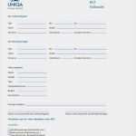 Vollmacht Kfz Nutzung Vorlage Adac Schönste Vollmacht Für Kfz Zulassungsstellen Uniqa Auto