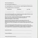 Vollmacht Kind Urlaub Mit Mutter Vorlage Angenehm Die Petermännchen Der Krankheitsfall Medikamente