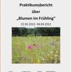 Vollmacht Kreditkarte Vorlage Schönste Elternbrief Kindergarten Vorlage Elternbrief Mai 2017