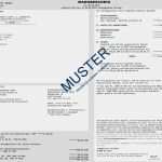 Vollstreckungsbescheid Ratenzahlung Vorlage Schönste Was Geschieht Als Erstes Wenn Sie Nicht Mehr Zahlen