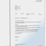 Vorauszahlung Finanzamt Einspruch Vorlage Erstaunlich Einspruch Gegen Steuerbescheid Steuerstrafverfahren