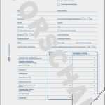 Vorlage Abrechnung Minijob Cool Abrechnung Minijob 2015 Business Wissen Management