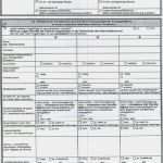 Vorlage Abrechnung Minijob Erstaunlich Gehaltsnachweis Muster Reisekostenabrechnung 152px