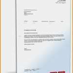 Vorlage Absage Angebot Cool 15 Absage Angebot Vorlage Australian Employment Party